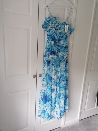 Coast special occasion dress - coast,