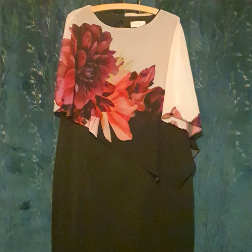 Coast shift dress - cape, overlay