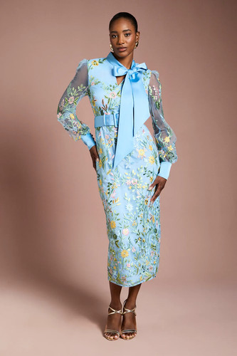 Coast blue shirt dress - coast,