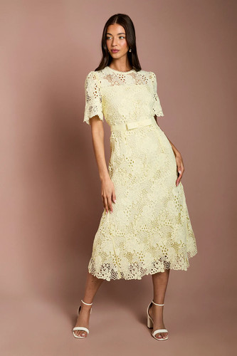 Coast lemon midi dress - coast,